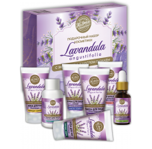 lavandula_nabor_1